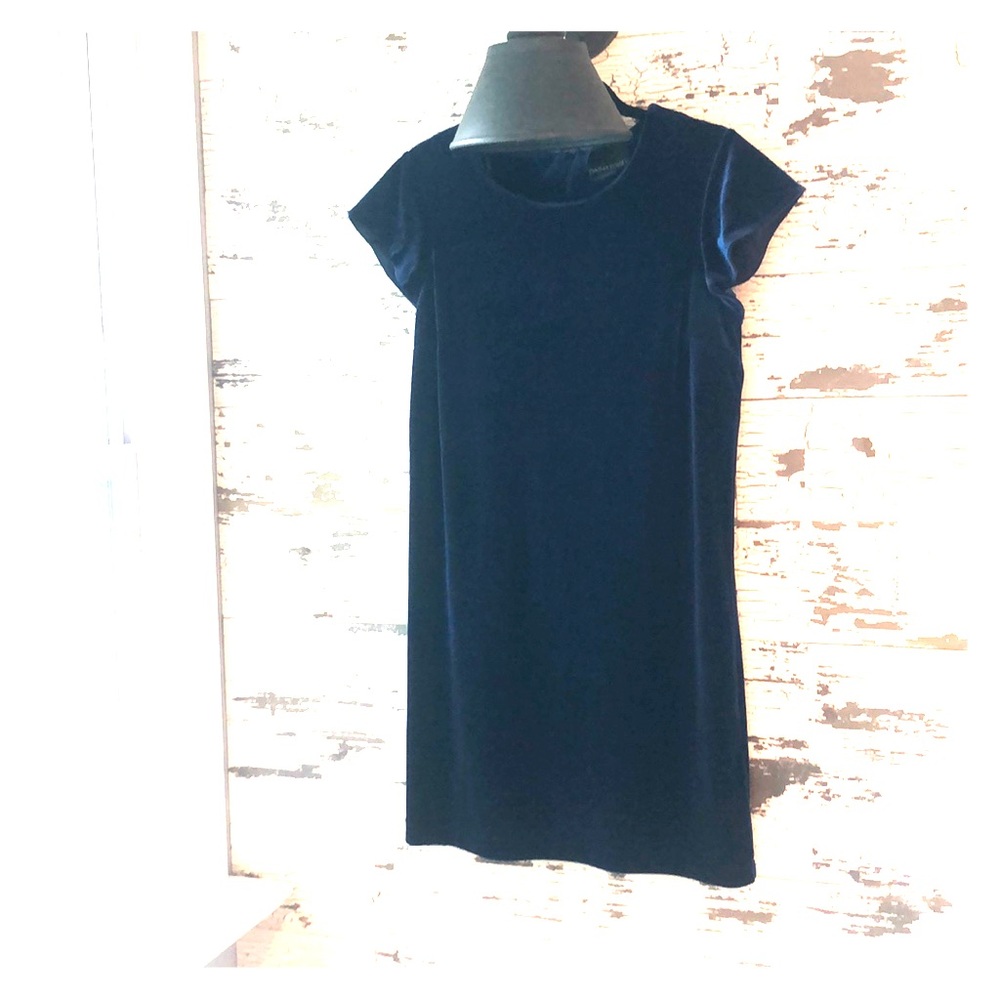 Blue velvet dress